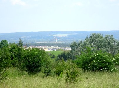 Bdg ZFview 6 2018 2