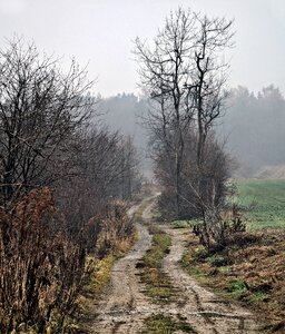 Meadow sadness travel