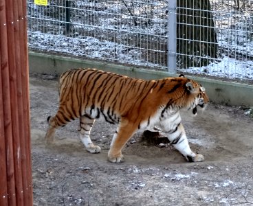 Bdg zoo 11 01-2015