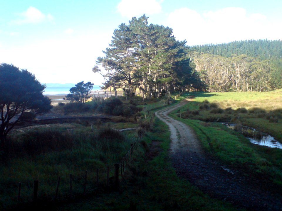 Beaches West Of Kaipara Harbour I