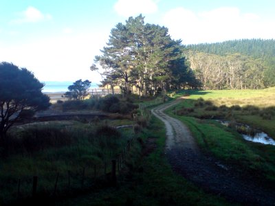 Beaches West Of Kaipara Harbour I