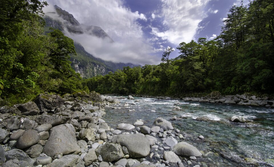 Trees boulders clear water
