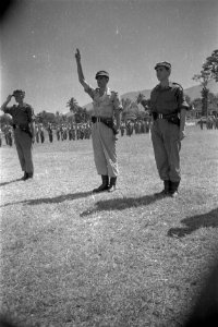 Beëdiging Buitenzorg, Bestanddeelnr 3929