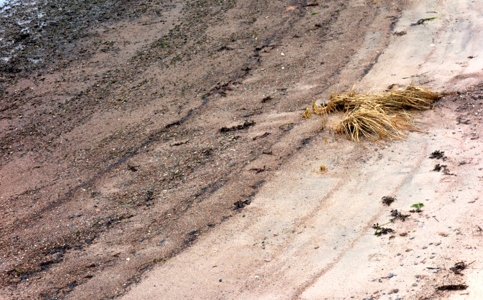 Beach in Sandvik 5