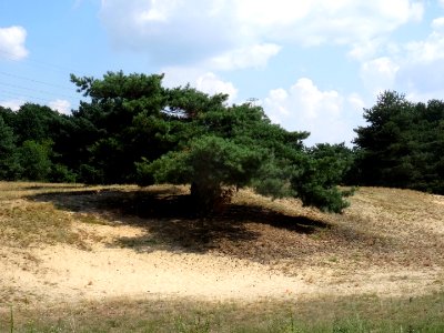 Bdg ZboczeFordonskie 8 2018 a3