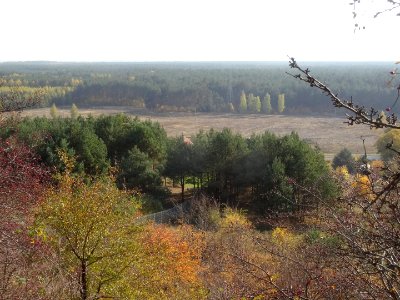 Bdg ZbF view10-18 12