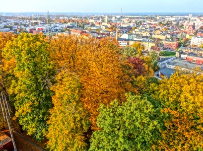 Bdg widokzwcisnien parkDabr 4 10-2013