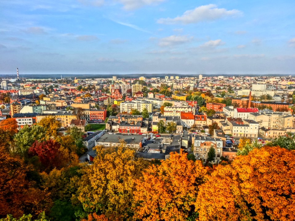Bdg widokzwcisnien Chwyt 1 10-2013
