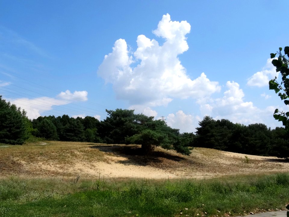 Bdg ZboczeFordonskie 8 2018 a2