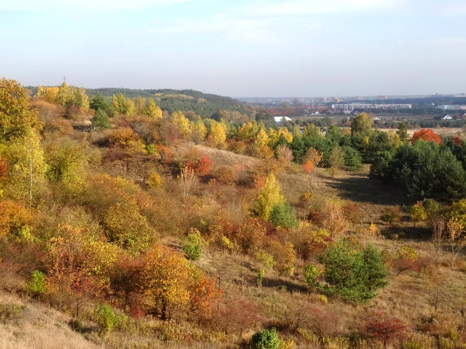 Bdg ZbF view10-18 37