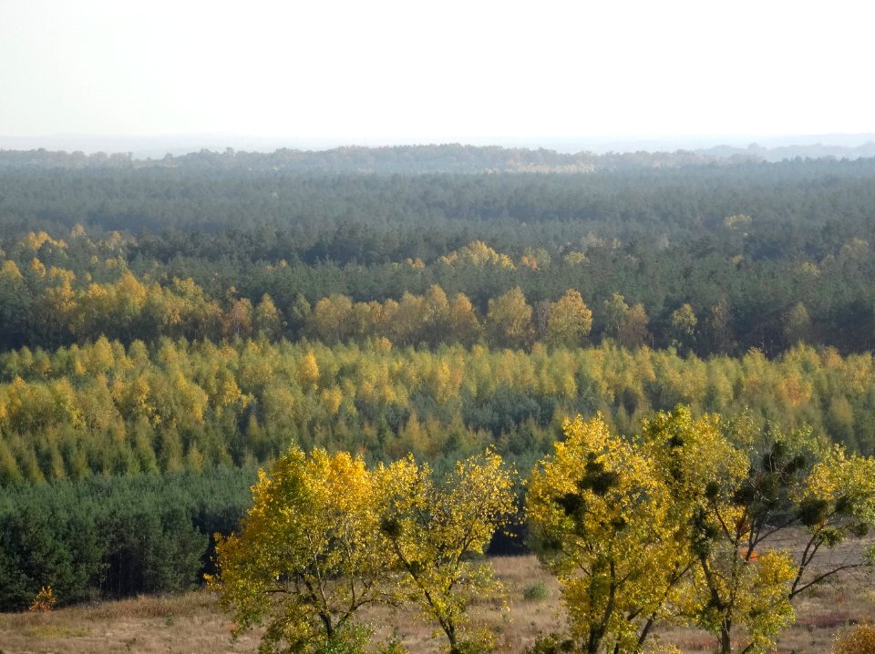Bdg ZbF view10-18 21