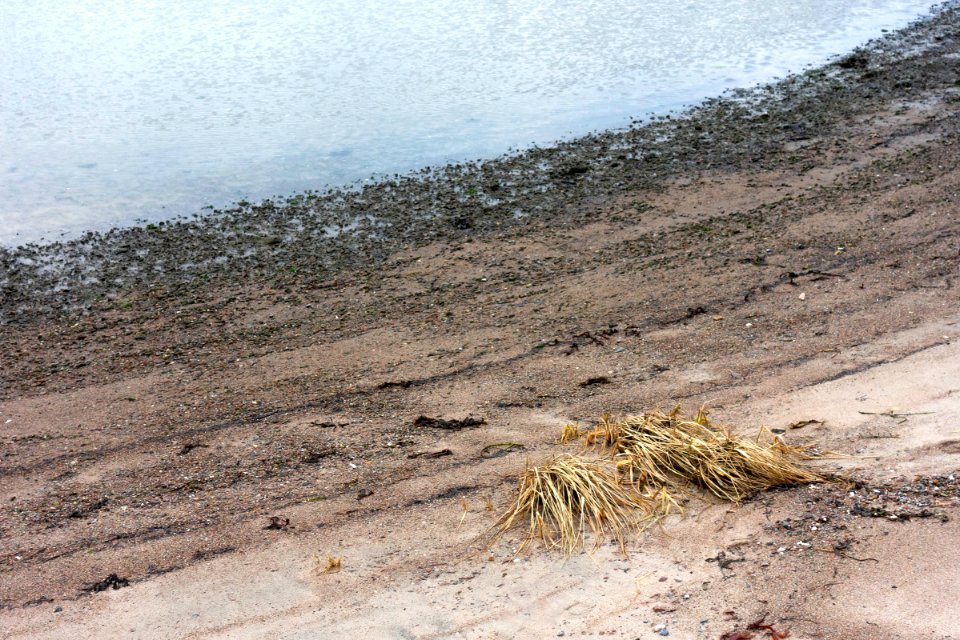 Beach in Sandvik 1