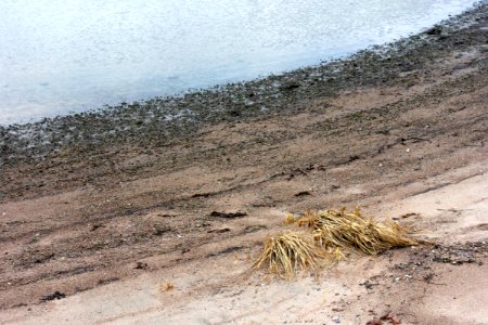 Beach in Sandvik 1 photo