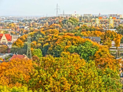 Bdg widokzwcisnien ZbBdg 3 10-2013