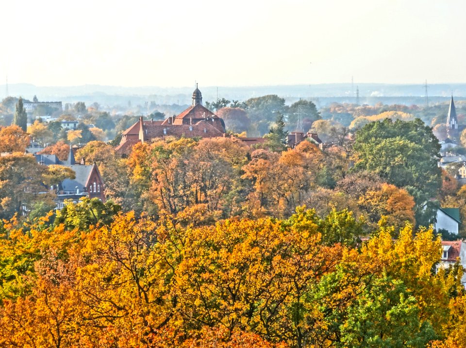 Bdg widokzwcisnien UTPchem 3 10-2013