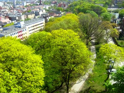 Bdg widokzwieżyciśn pHD g 05-2013