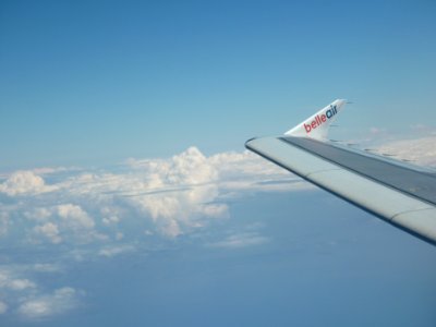 Belleairwingtips