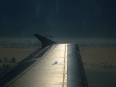 Belleairwing