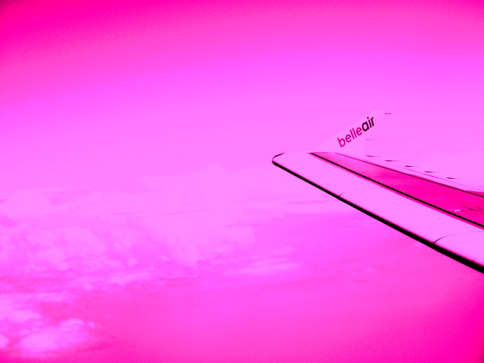 Belleairwingtipmagenta