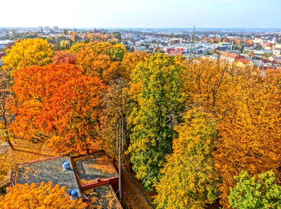 Bdg widokzwcisnien parkDabr 3 10-2013