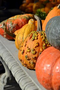 Fall harvest decoration