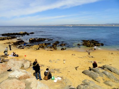 Beach - Monterey, CA - DSC06774