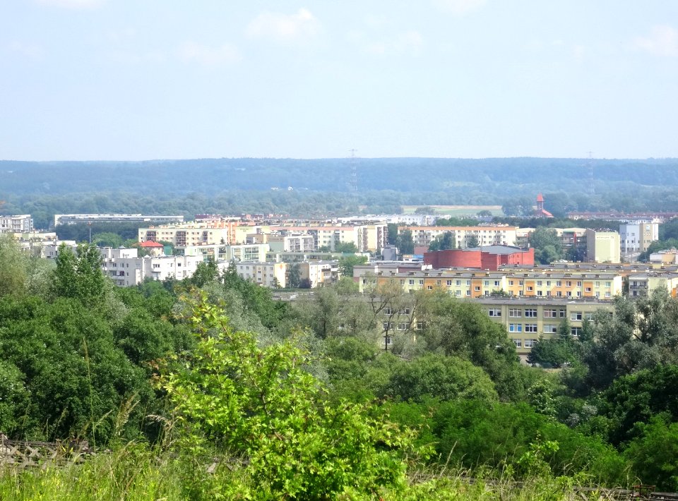 Bdg ZFview 6 2018 6