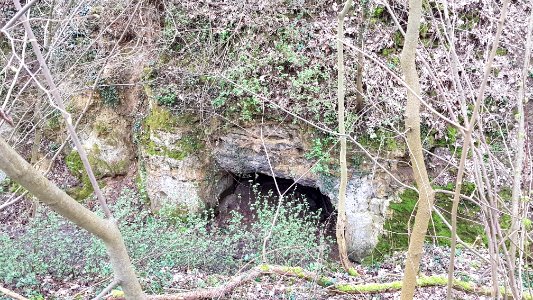 Bemelen-Bemelerbosgroeve III (1)