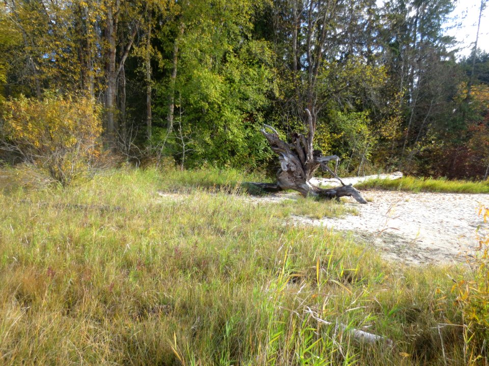 Beach in autumn at mara provincial park