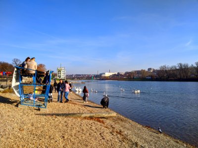 Belgrade water view 3
