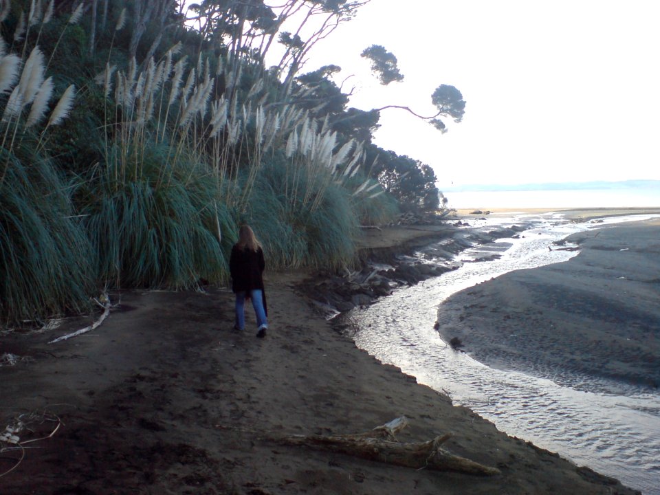Beaches West Of Kaipara Harbour II
