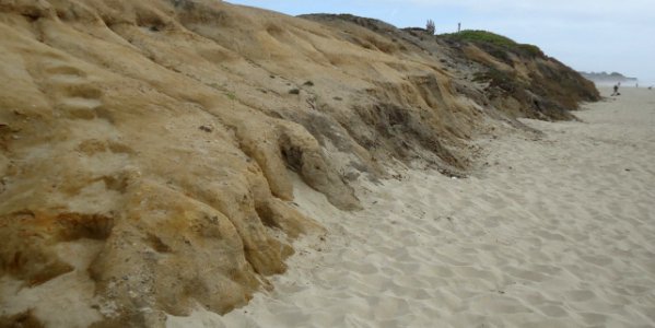 Beach and Pacific Ocean near Half-Moon-Bay California