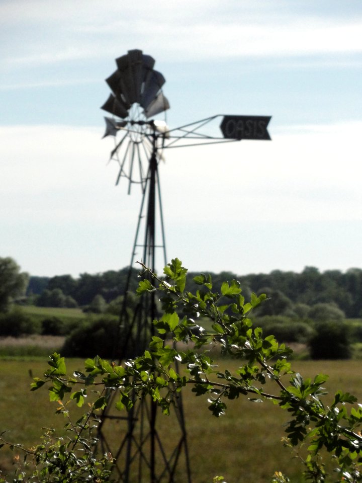 Belles-Forêts (Moselle) windwheel, Angviller-lès-Bisping