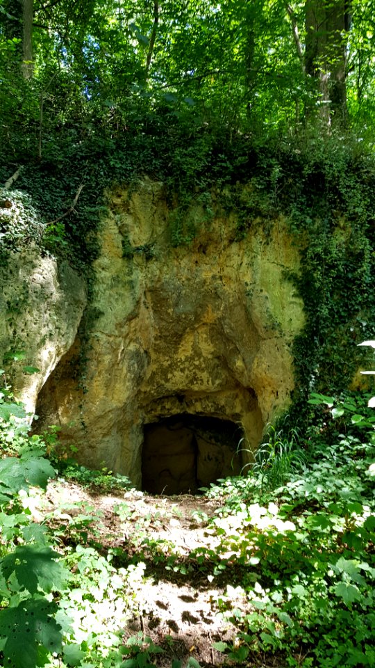 Bemelen-Bemelerbosgroeve II (3)