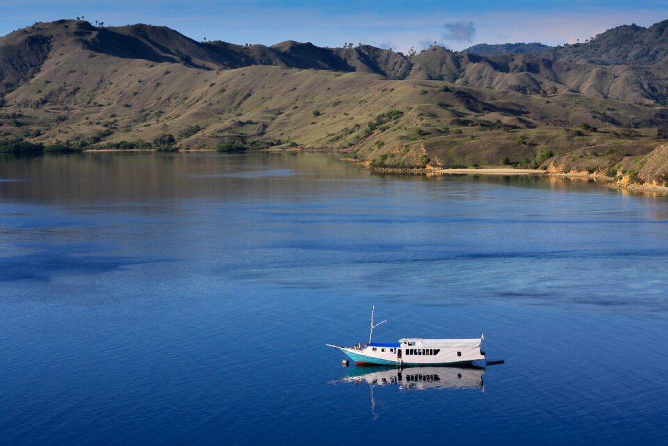 Nature komodo indonesia
