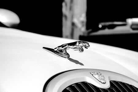 Vehicle black and white limousine