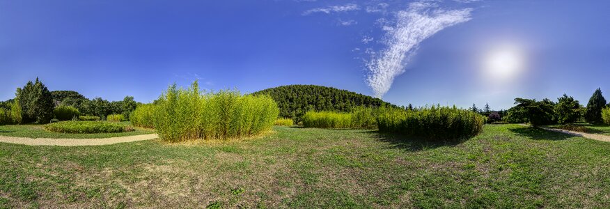 Landscape bamboo panorama