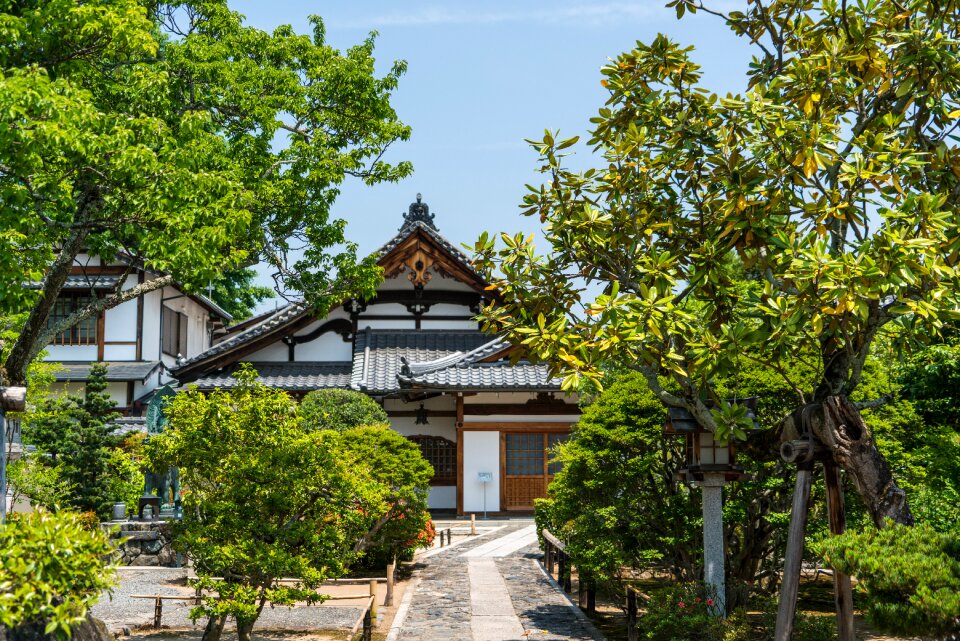Temple nature green