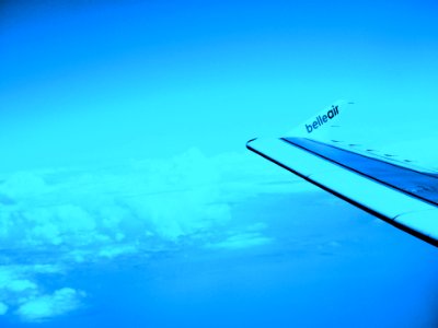 Belleairwingtipblue