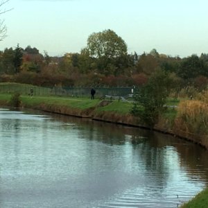 Bellebeek monding Dender 2018-10-23 (1)