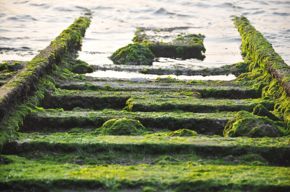Sea ruins barren