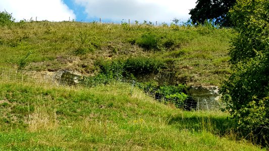 Bemelen-Gasthuisdelgroeve II (oost) (3)