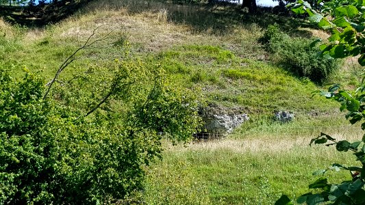 Bemelen-Gasthuisdelgroeve I (1)