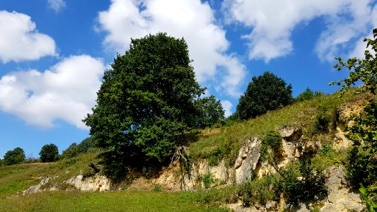 Bemelen-Cluysberggroeve (13)