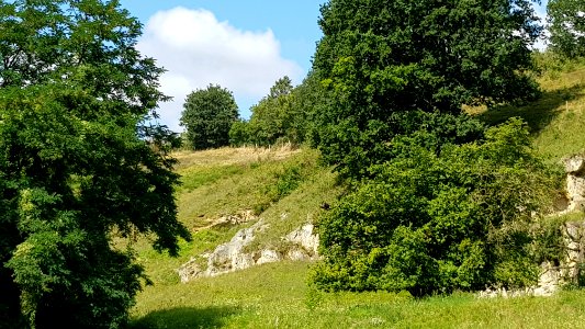 Bemelen-Cluysberggroeve (8)