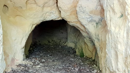 Bemelen-Bemelerbosgroeve II (6)
