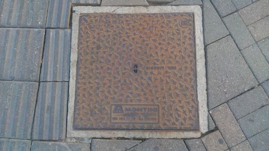 Belgrade manhole cover 18