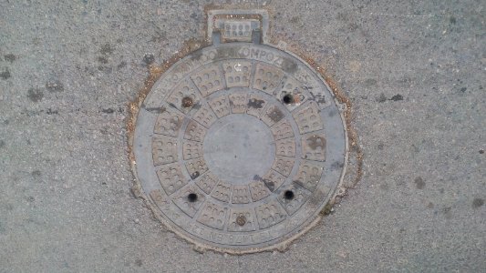 Belgrade manhole cover 31