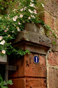 Masonry stone input
