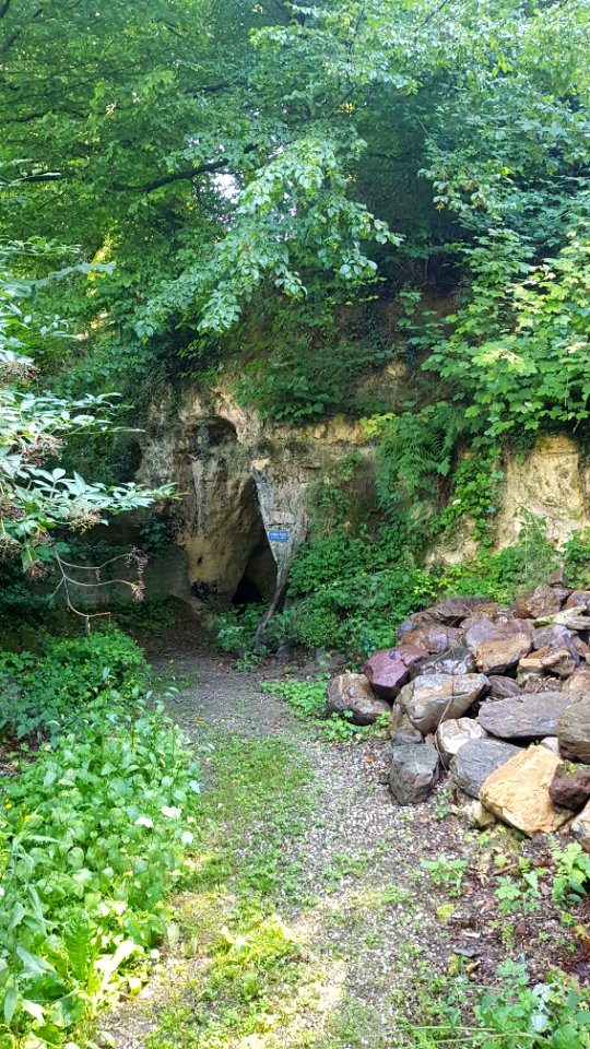 Bemelen-Bemelerbosgroeve I (1)